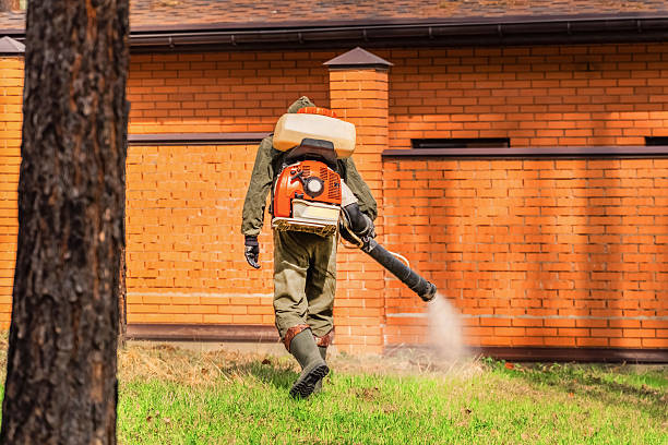 Trusted Bed Bug Control service in Fountainebleau, FL - Nex Pest Control